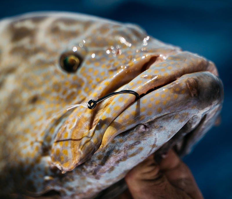 Mustad Demon Offset Circle, 1X Strong - Black Nickel-1/0 - Image 4